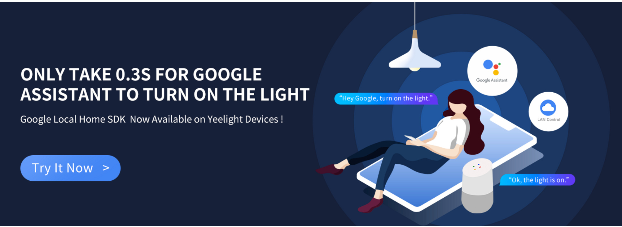 Hey google turn on best sale the light